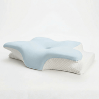 Oreiller Somméa 2.0